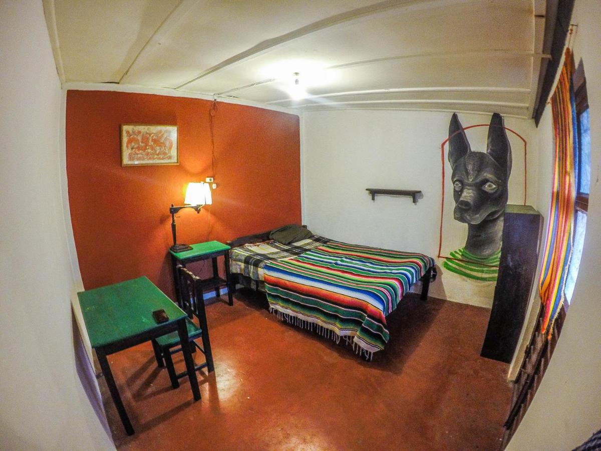 Hostel El Nagual San Cristóbal de Las Casas Exteriör bild